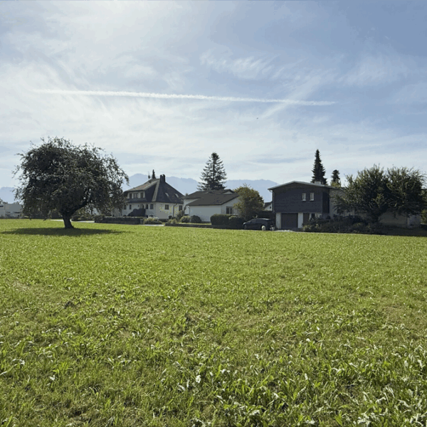 Baugrundstück in Lustenau - Blick Richtung Südost - Amann Immobilien