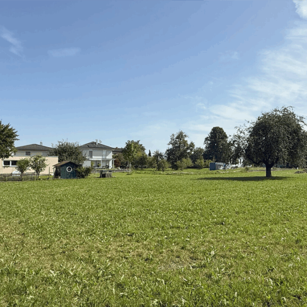 Baugrundstück in Lustenau - Blick Richtung Nordost - Amann Immobilien