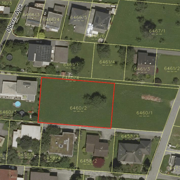 Baugrundstück in Lustenau - Katasterplan - Amann Immobilien