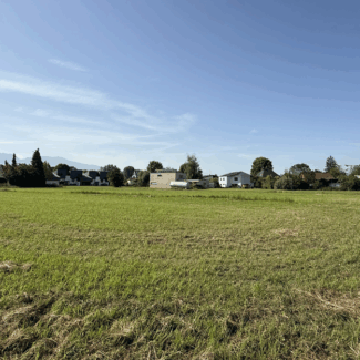 Grundstück mit Entwicklungspotential in Lustenau - Blick Richtung Süden - Amann Immobilien