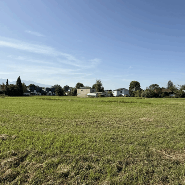 Grundstück mit Entwicklungspotential in Lustenau - Blick Richtung Süden - Amann Immobilien