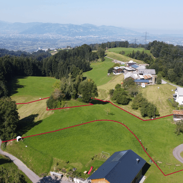 Landwirtschaftliche Liegenschaft in Bildstein - Bauernhof 6 Hektar - Amann Immobilien