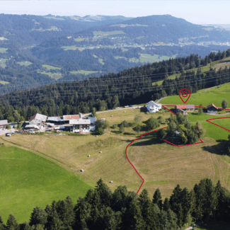 Landwirtschaftliche Liegenschaft in Bildstein - Bauernhof mit angrenzenden Flächen - Amann Immobilien