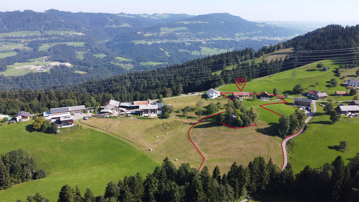 Landwirtschaftliche Liegenschaft in Bildstein - Bauernhof mit angrenzenden Flächen - Amann Immobilien