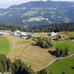 Landwirtschaftliche Liegenschaft in Bildstein - Landwirtschaftliche Fläche - Amann Immobilien