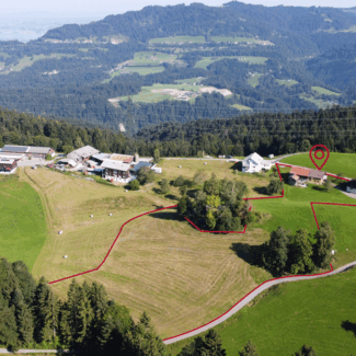 Landwirtschaftliche Liegenschaft in Bildstein - Landwirtschaftliche Fläche - Amann Immobilien