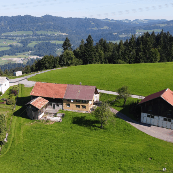 Landwirtschaftliche Liegenschaft in Bildstein - Bauernhof mit Nebengebäude - Amann Immobilien