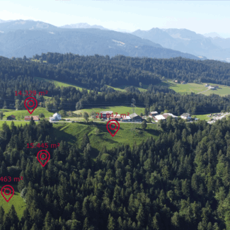 Landwirtschaftliche Liegenschaft in Bildstein - Grundstücke - Amann Immobilien