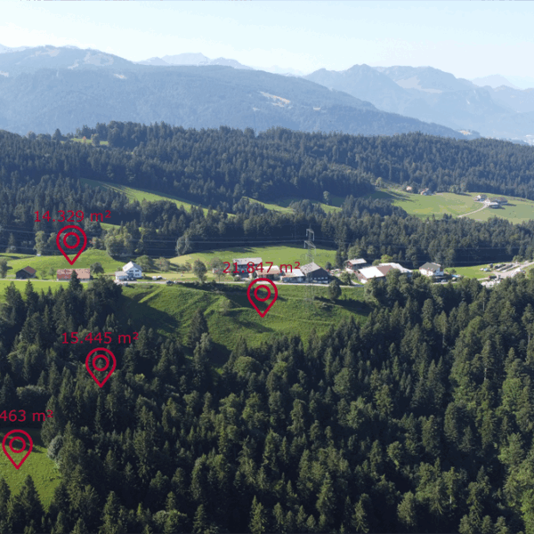 Landwirtschaftliche Liegenschaft in Bildstein - Grundstücke - Amann Immobilien