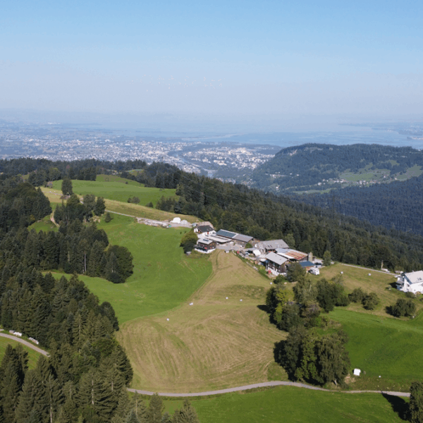 Landwirtschaftliche Liegenschaft in Bildstein - Schneider Bildstein - Amann Immobilien