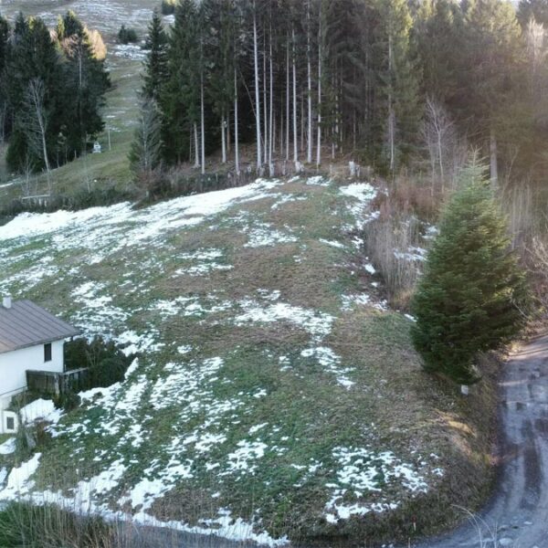 Grundstück für ein Ferienhaus - Frastanz - Bazora - Grundstück mit Ferienhauswidmung - Amann Immobilien