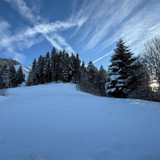 Grundstück für ein Ferienhaus - Frastanz - Bazora - Grundstück mit Ferienhauswidmung - Amann Immobilien