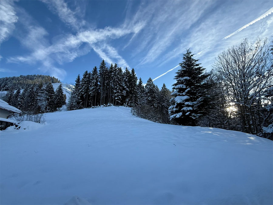 Grundstück für ein Ferienhaus - Frastanz - Bazora - Grundstück mit Ferienhauswidmung - Amann Immobilien