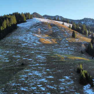 Grundstück für ein Ferienhaus - Frastanz Braz - Bazora Hang - Amann Immobilien