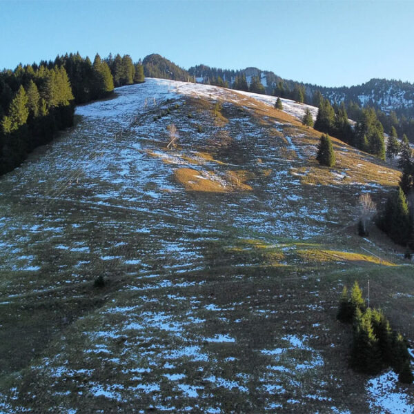 Grundstück für ein Ferienhaus - Frastanz Braz - Bazora Hang - Amann Immobilien