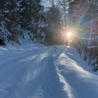 Grundstück für ein Feriehaus - Frastanz Bazora - Grundstück mit Ferienhauswidmung in den Alpen - Amann Immobilien