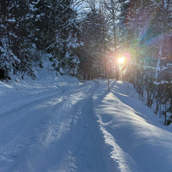 Grundstück für ein Feriehaus - Frastanz Bazora - Grundstück mit Ferienhauswidmung in den Alpen - Amann Immobilien