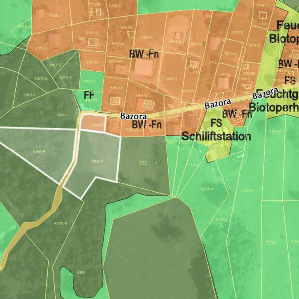 Grundstück für ein Ferienhaus - Frastanz Bazora - Flächenwidmungsplan - Amann Immobilien