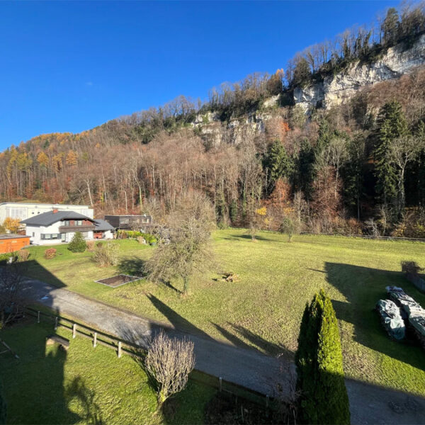 Preiswerte 3-Zi-Wohnung in Feldkirch - Blick vom Balkon - Amann Immobilien