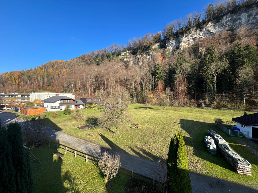 Preiswerte 3-Zi-Wohnung in Feldkirch - Blick vom Balkon - Amann Immobilien