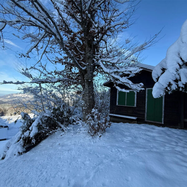 Zwei Grundstücke mit Ferienhauswidmung und Hütte - Frastanz Bazora - Ferienhütte in den Alpen - Amann Immobilien