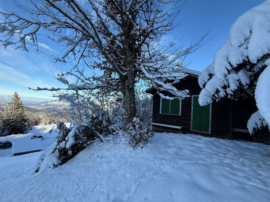 Zwei Grundstücke mit Ferienhauswidmung und Hütte - Frastanz Bazora - Ferienhütte in den Alpen - Amann Immobilien