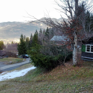 Zwei Grundstücke mit Ferienhauswidmung und Hütte - Frastanz Bazora - Westseite - Amann Immobilien