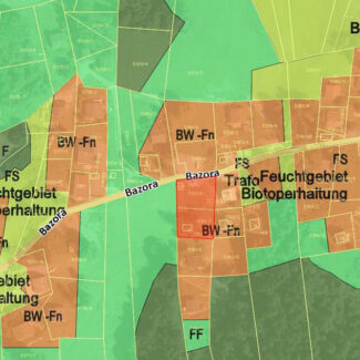 Zwei Grundstücke mit Ferienhauswidmung und Hütte - Frastanz Bazora - Flächenwidmungsplan - Amann Immobilien