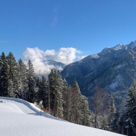 Grundstück für ein Ferienhaus in den Alpen - Amann Immobilien