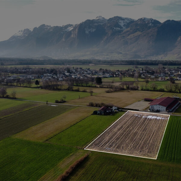 Landwirtschaftliche Fläche in Rankweil-Brederis - Amann Immobilien