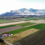 Landwirtschaftliche Fläche in Rankweil-Brederis - Amann Immobilien