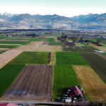 Landwirtschaftliche Fläche in Rankweil-Brederis - Amann Immobilien