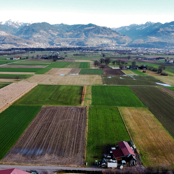 Landwirtschaftliche Fläche in Rankweil-Brederis - Amann Immobilien