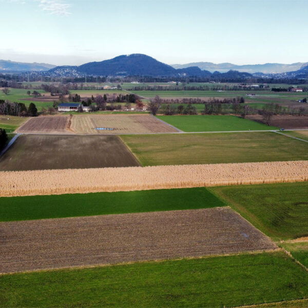Landwirtschaftliche Fläche in Rankweil-Brederis - Amann Immobilien