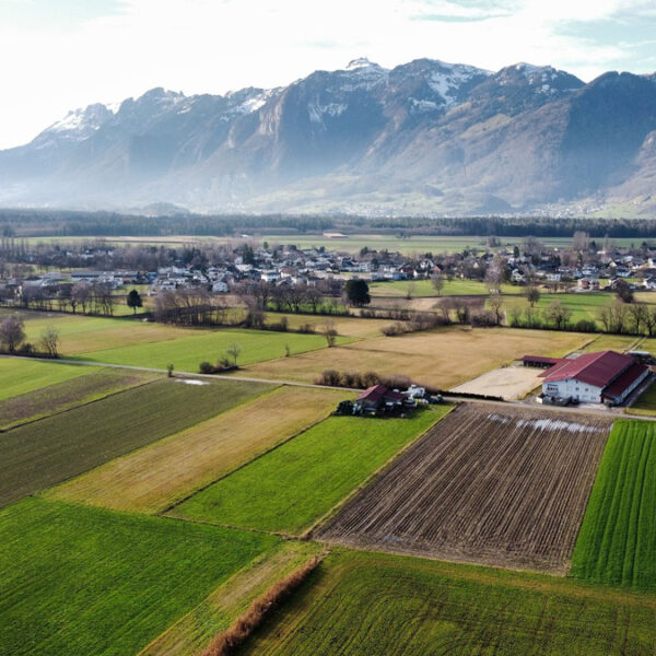 Landwirtschaftliche Fläche in Rankweil-Brederis - Amann Immobilien