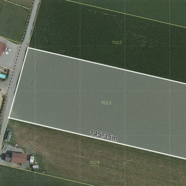 Landwirtschaftliche Fläche in Rankweil-Brederis - Amann Immobilien