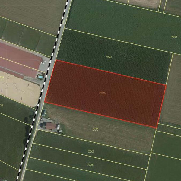 Landwirtschaftliche Fläche in Rankweil-Brederis - Katasterplan - Amann Immobilien