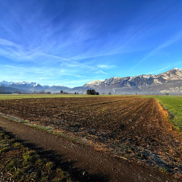 Landwirtschaftliche Grundstücke in Feldkirch-Nofels - Amann Immobilien