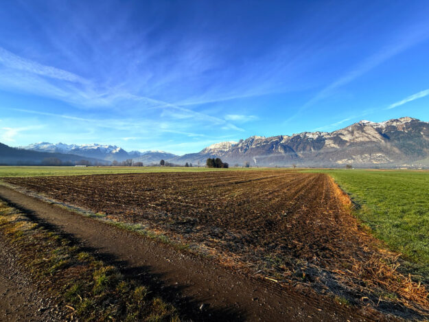 Landwirtschaftliche Grundstücke in Feldkirch-Nofels - Amann Immobilien