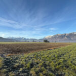 Landwirtschaftliche Grundstücke in Feldkirch-Nofels - Amann Immobilien