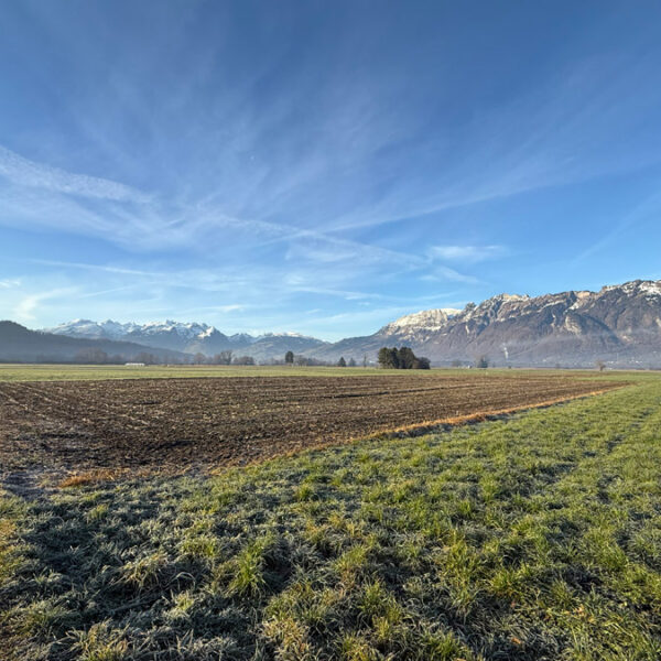 Landwirtschaftliche Grundstücke in Feldkirch-Nofels - Amann Immobilien