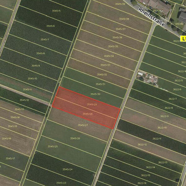 Landwirtschaftliche Grundstücke in Feldkirch-Nofels - Katasterplan - Amann Immobilien
