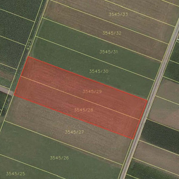 Landwirtschaftliche Grundstücke in Feldkirch-Nofels - Katasterplan 2 - Amann Immobilien