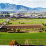Landwirtschaftliche Grundstücke in Rankweil - Amann Immobilien