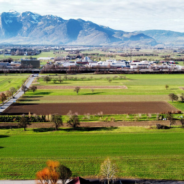 Landwirtschaftliche Grundstücke in Rankweil - Amann Immobilien