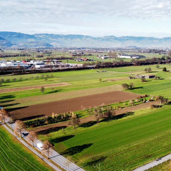 Landwirtschaftliche Grundstücke in Rankweil - Amann Immobilien