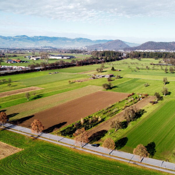 Landwirtschaftliche Grundstücke in Rankweil - Amann Immobilien