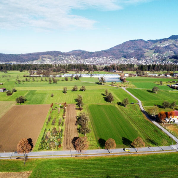 Landwirtschaftliche Grundstücke in Rankweil - Amann Immobilien