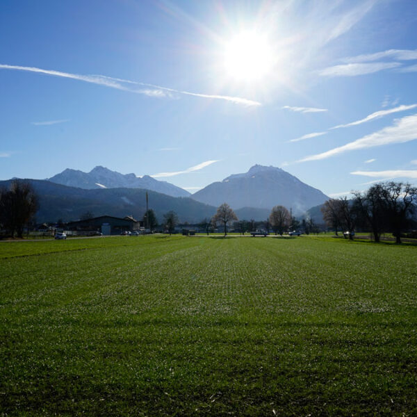Landwirtschaftliche Grundstücke in Rankweil - Amann Immobilien