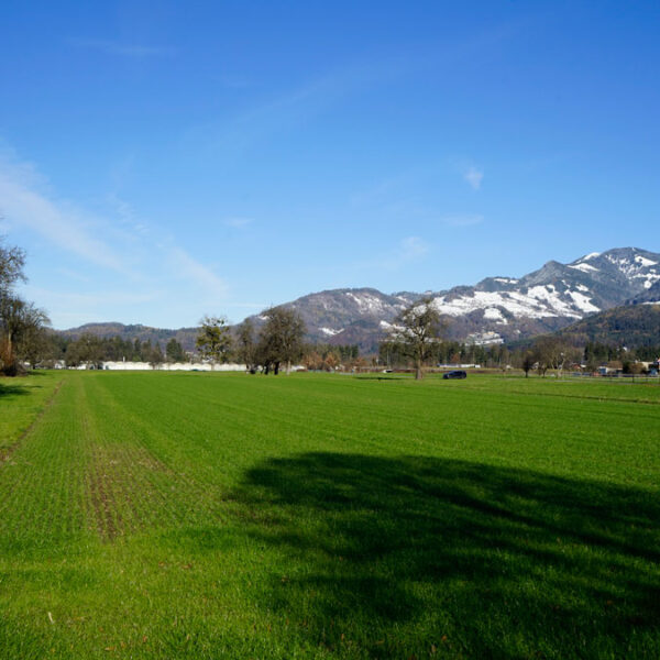 Landwirtschaftliche Grundstücke in Rankweil - Amann Immobilien